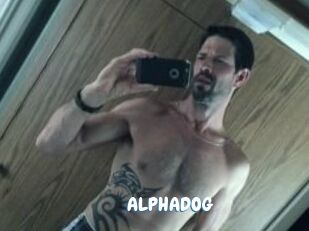 ALPHADOG