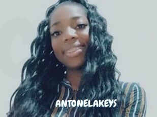 ANTONELAKEYS