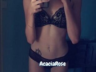AcaciaRose