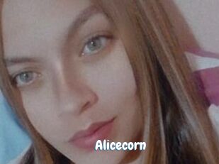 Alicecorn