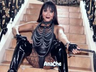 AnaChe