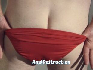 Anal_Destruction