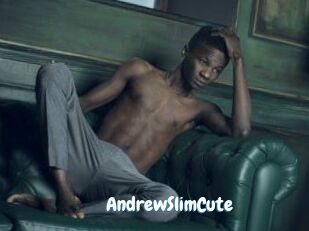 AndrewSlimCute