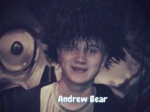 Andrew_Bear