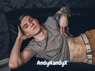 AndyHandyX