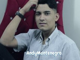 AndyMontenegro