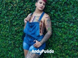 AndyPulido