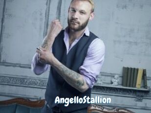 AngelloStallion