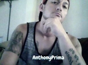 AnthonyPrima