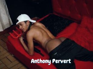 Anthony_Pervert