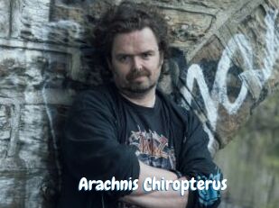 Arachnis_Chiropterus