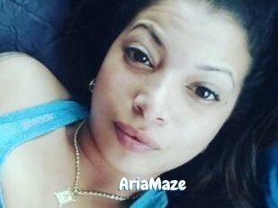 Aria_Maze