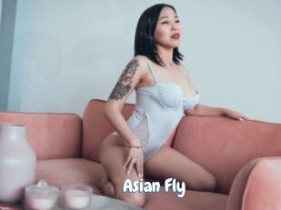 Asian_Fly