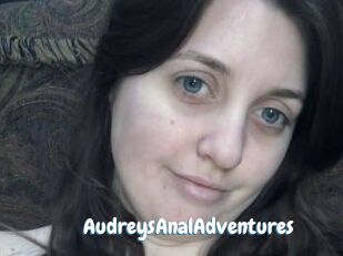 AudreysAnalAdventures