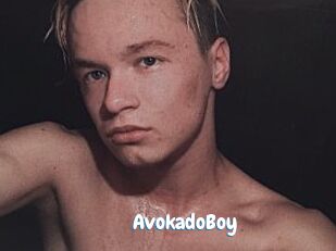 AvokadoBoy