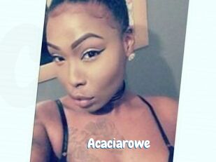 Acacia_rowe