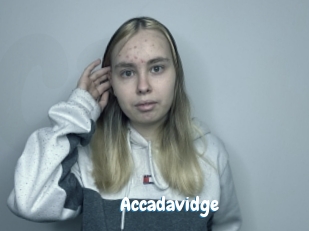 Accadavidge