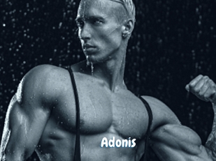 Adonis