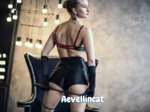 aevellincat Coquine Avenue