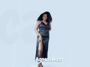 Agnesawuor