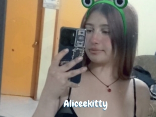 Aliceekitty