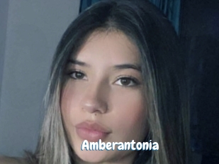 Amberantonia