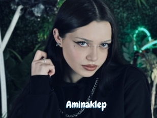 Aminaklep