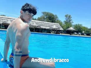 Andrewdibracco