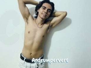 Andruwpervert