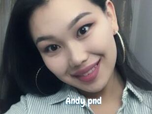 Andy_pnd