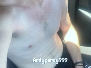 Andypandy999