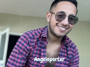 Angeloporter