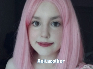 Anitacollier