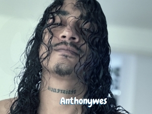 Anthonywes