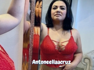 Antoneellaacruz