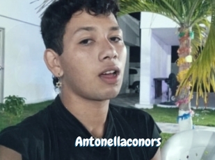 Antonellaconors