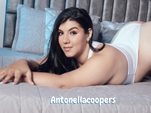 Antonellacoopers