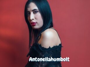 Antonellahumbolt