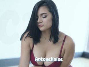 Antonellalee