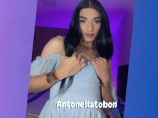 Antonellatobon