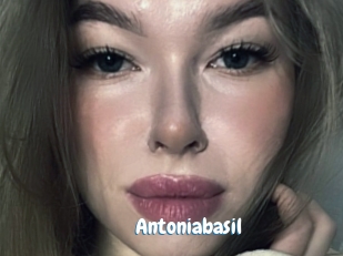 Antoniabasil