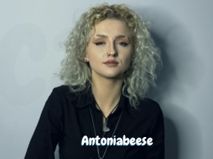 Antoniabeese