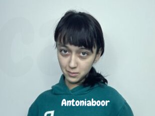 Antoniaboor