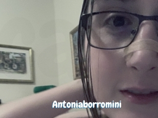 Antoniaborromini