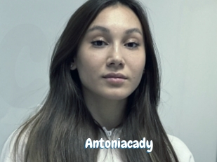 Antoniacady