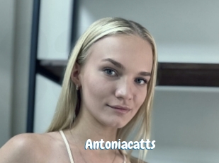 Antoniacatts