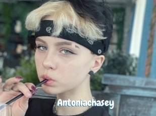 Antoniachasey