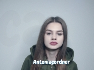 Antoniacordner