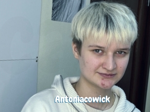 Antoniacowick