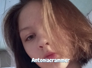 Antoniacrammer